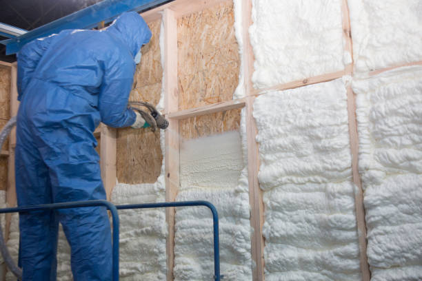 Best Soundproof Insulation  in Union Springs, AL